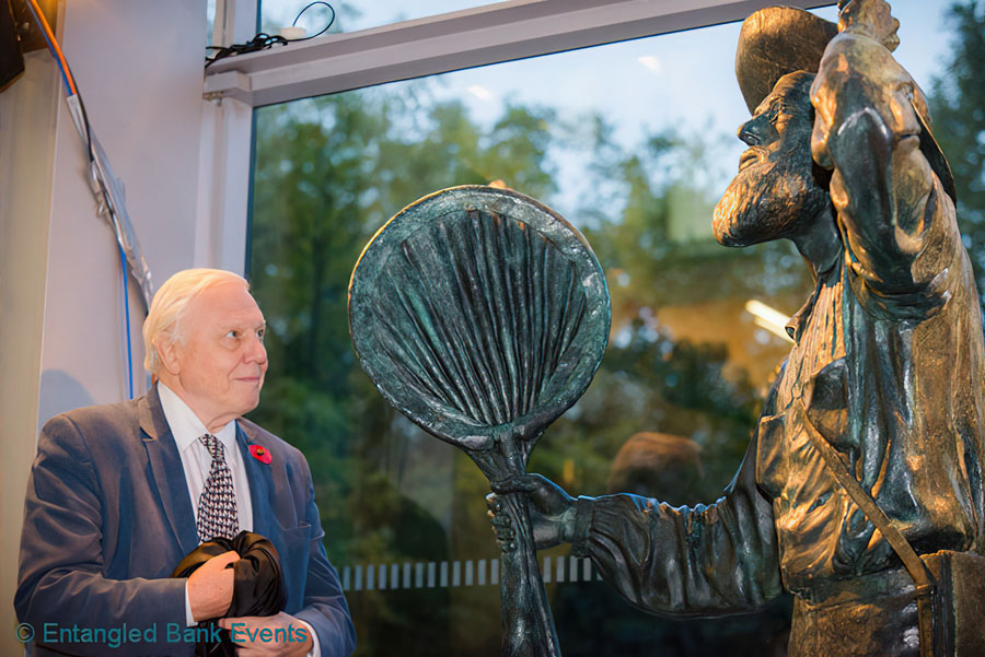 Sir David Attenborough unveiling Anthony Smith's statue of Alfred Russel Wallace at the Natural History Museum of London