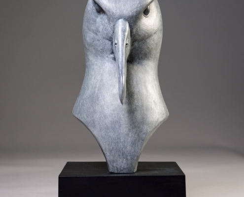 Bronze sculpture of a Black Browed Albatross head by wildlife artist Anthony Smith