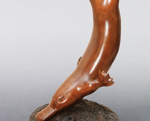 Bronze sculpture of a swimming duck-billed platypus by wildlife artist Anthony Smith