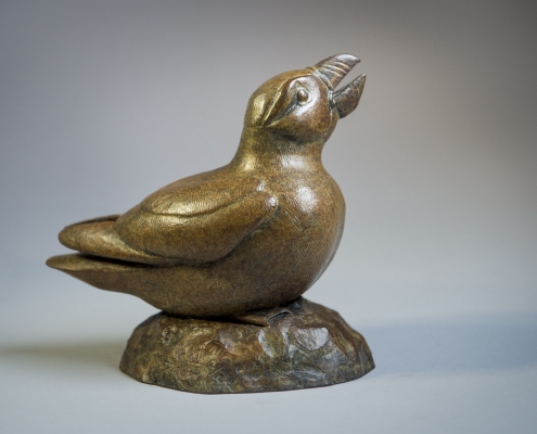 Bronze sculpture of an Atlantic Puffin by wildlife artist Anthony Smith