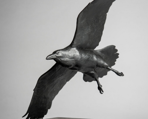 Bronze sculpture of a flying Raven by wildlife artist Anthony Smith