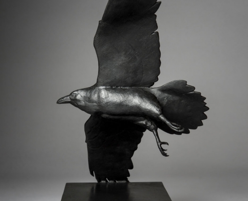 Bronze sculpture of a flying Raven by wildlife artist Anthony Smith