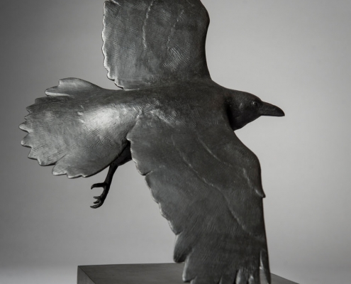 Bronze sculpture of a flying Raven by wildlife artist Anthony Smith