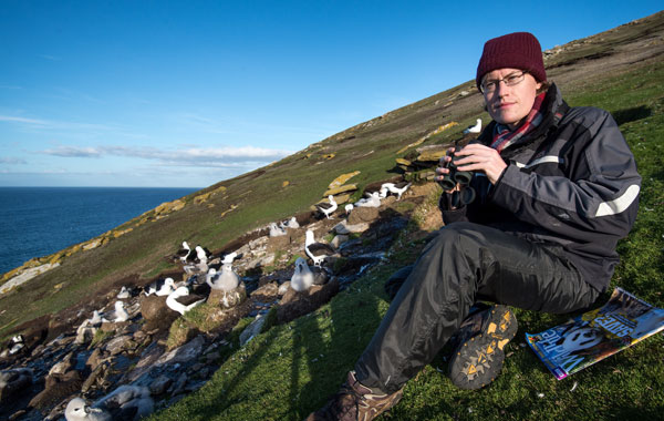 Photographing Black browed Albatrosses in the Falkland Islands