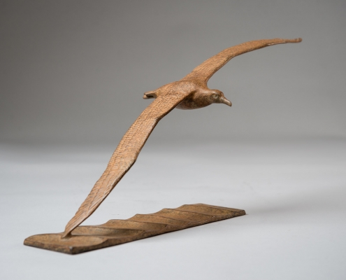 Bronze sculpture of a flying Wandering Albatross by artist Anthony Smith