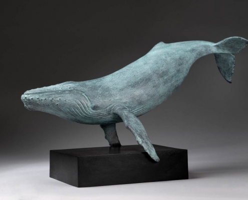 Limited edition bronze sculpture of a Humpback Whale by Anthony Smith