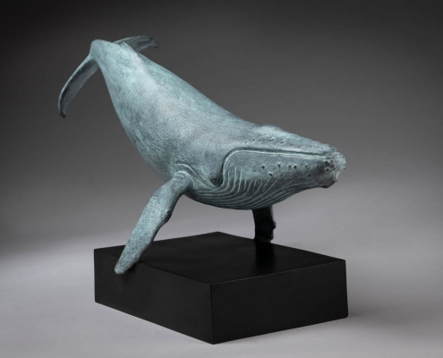 Limited edition bronze sculpture of a Humpback Whale by Anthony Smith