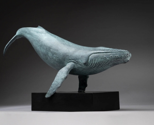 Limited edition bronze sculpture of a Humpback Whale by Anthony Smith