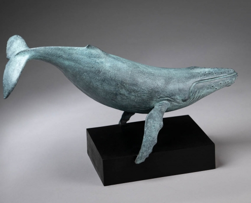 Limited edition bronze sculpture of a Humpback Whale by Anthony Smith